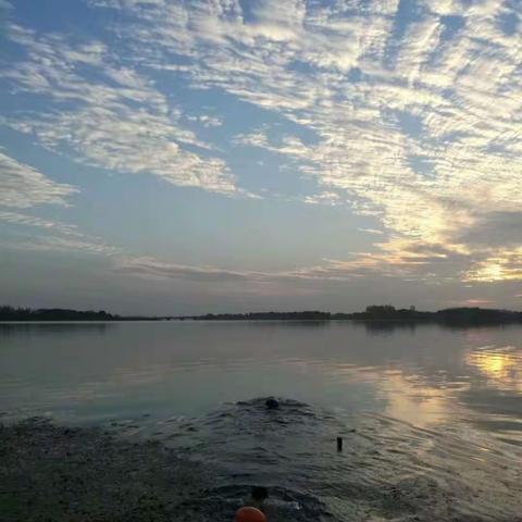 2017年11月10起开始正式开启冬泳模式！之前的2015至2016年都是游到11月中旬就止步了……