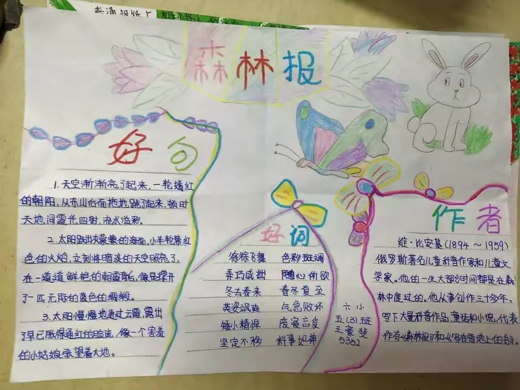 五三班《森林报》读书交流