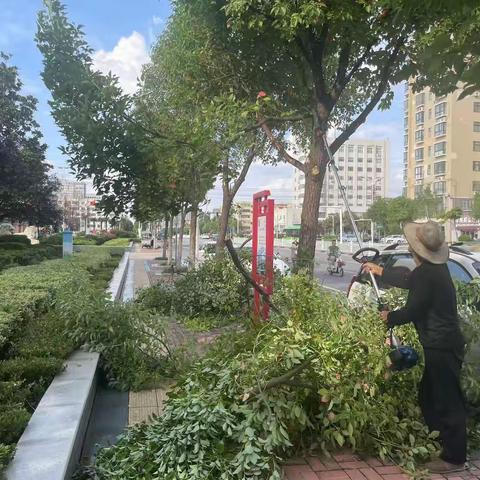 开发区园林处：园林绿化不“停歇”  精细养护“梳妆”忙