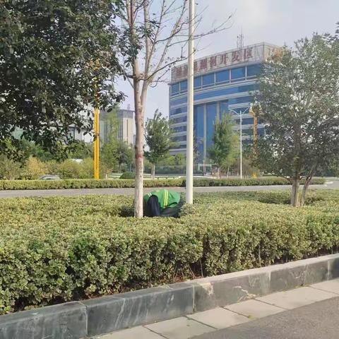 开发区园林处：积极营造“双节”期间优质园林绿化环境