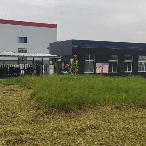 开发区园林处：“节日我在岗”绿化管护不松懈