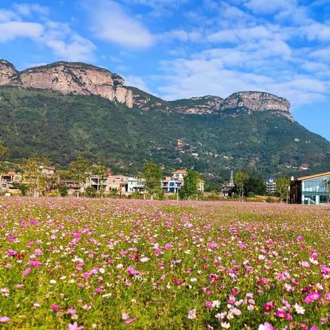 鲜花盛开五虎山，绿树环绕塔礁洲