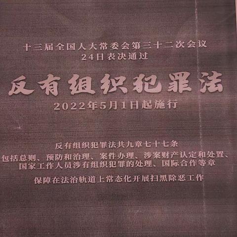 【中国农业银行城区支行】关于在全市开展反有组织犯罪法宣传活动