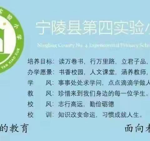 征途漫漫，砥砺前行——宁陵县中小学班主任综合能力提升研修班略影