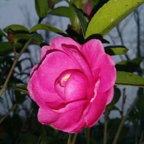 春天来了春天来了