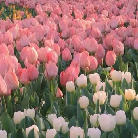 2023年星空国际和创物业服务中心5月份月报