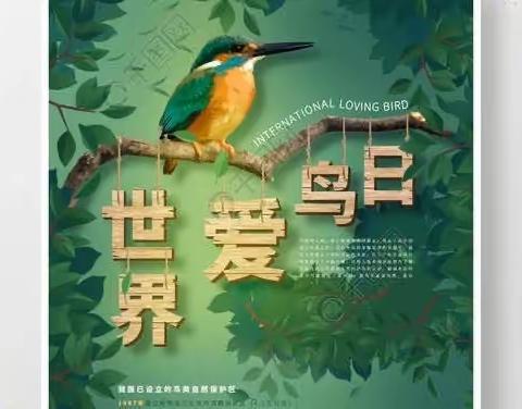 经园路小学4.4中队—“爱鸟日主题班会”