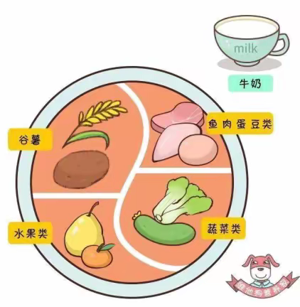 【未央教育】儿童膳食营养知识