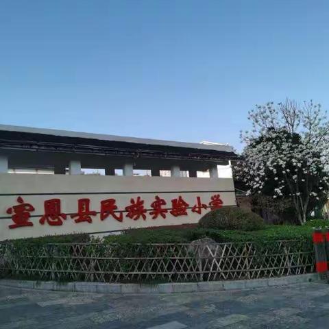 那些短暂而又美好的时光