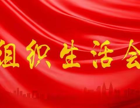 新闻与传播学院学生第三党支部召开组织生活会