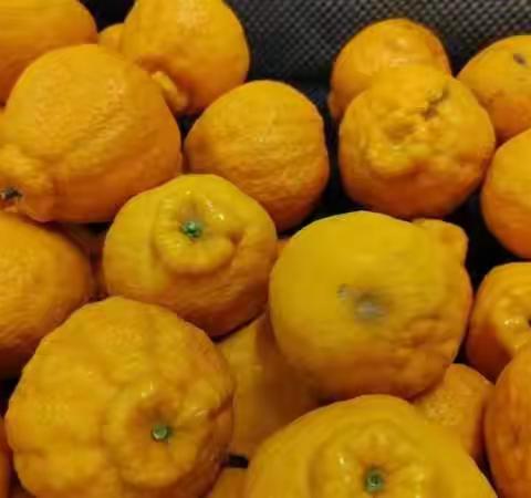 水果湖周二清洁卫生专项检查美篇