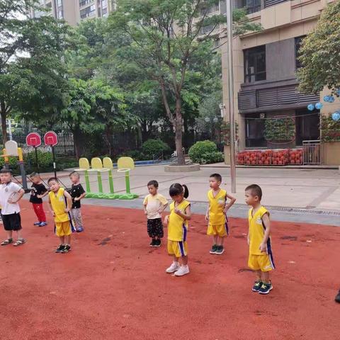 6.12  篮球🏀小子