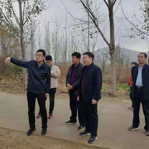 11月6日，全镇人居环境整治现场观摩来到牛泉镇将山后村！！