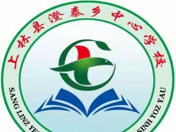 新芽初绽放，实践促成长——上林县澄泰乡中心学校举行壮汉双语实习生实习成果汇报课展示大赛