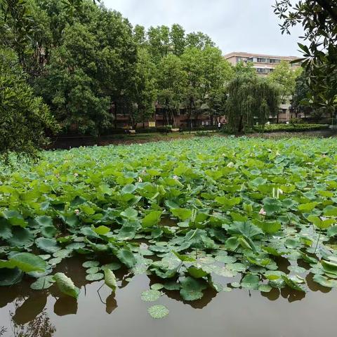 众行方可致远，聚力定能笃行——2023年茂名市高中校长办学治校能力提升培训第八天学习情况汇报