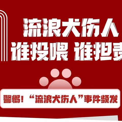 文明养犬 Vol.1 | 警惕！“流浪犬伤人”事件频发 长期投喂人需担责