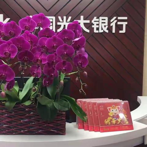 青山支行一月厅堂氛围简报