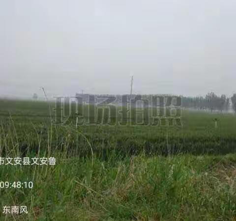 廊坊市文安县大柳河镇5月19日臭氧污染防控情况