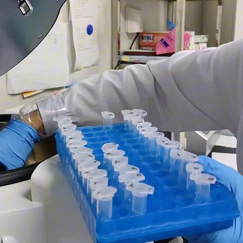 实验动物中心那点事儿（八）——学生的实验日常