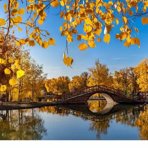 9月5日流量变现课程之学习复盘