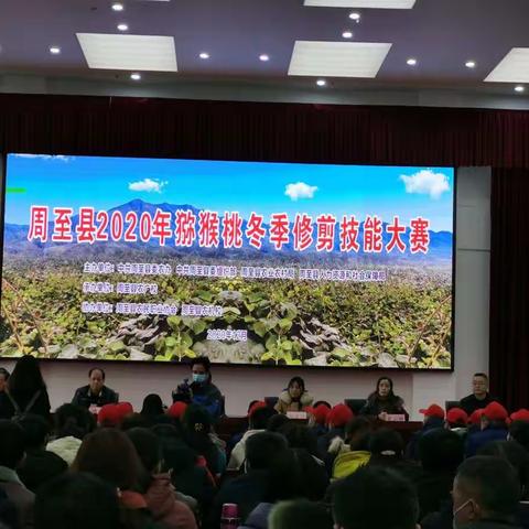 培育新时代高素质农民，展现农机风采