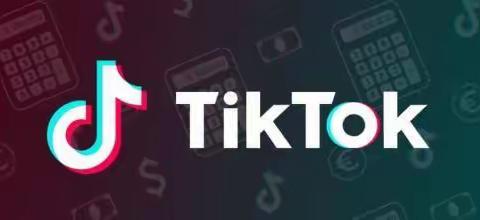 TikTok中亚公会申请条件如下