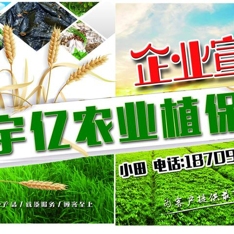 硅谷肥料•中国创造•神奇硅谷•农业华佗