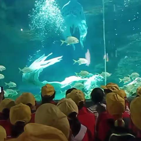 风景在路上，研学促成长----日新希望小学2023年春研学实践活动