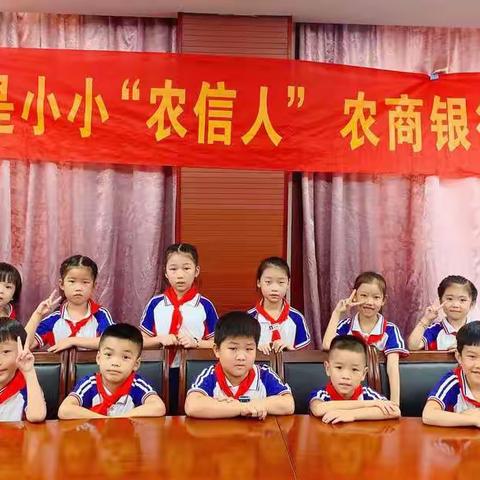 我是小小“农信人”