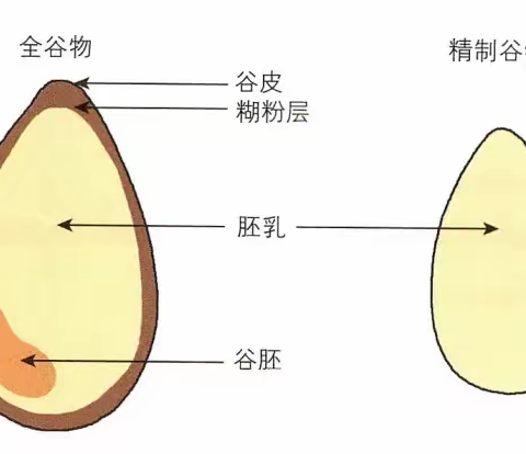 天天全谷物，身体更健康