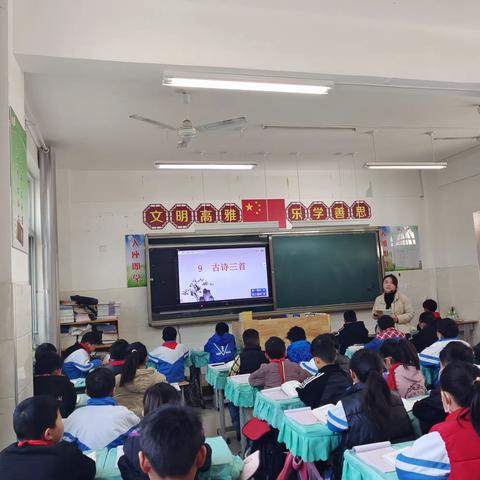 凝心聚力，专注教研——东北庄小学教研活动