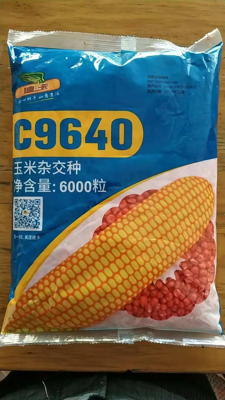 迪卡c1563玉米种简介图片