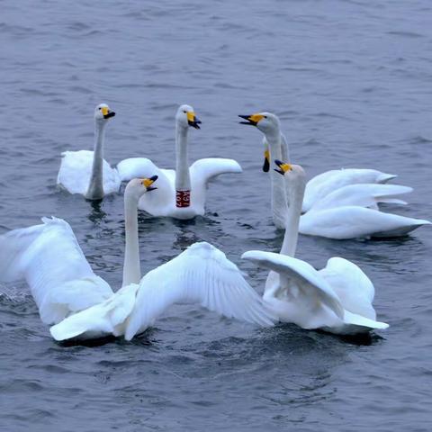 山东荣成烟墩角