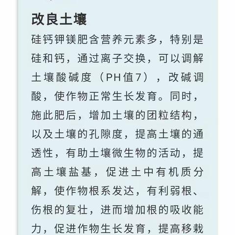 【硅钙钾镁肥—金正大】这匹黑马杀出，管叫你作物卖的好，饭菜吃的香！