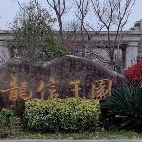 龙信玉园 7 月服务篇