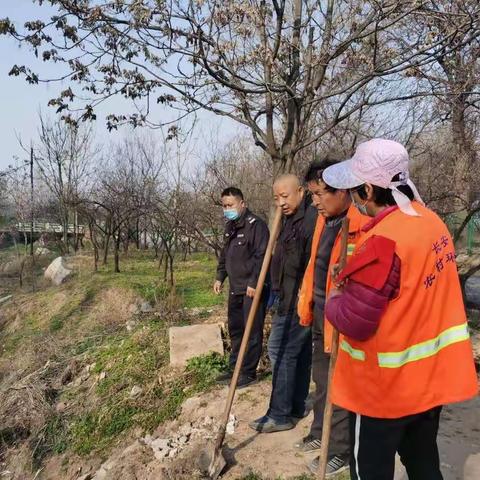 加强河道清理管护打造优美水岸线