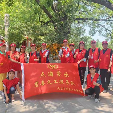 古木无人径，深山义工行～点滴常乐义工队戒台寺塔林文保公益活动