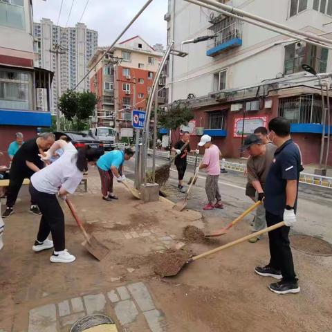 风雨同舟，义工同行～点滴常乐慈善义工服务队参加灾后清理及慈善募捐活动