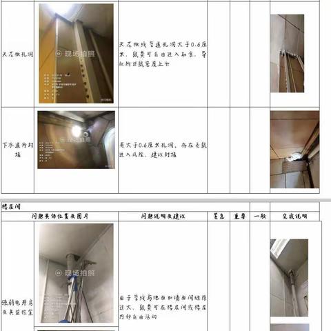 【江北一区】百花店鼠患灭害整改工作