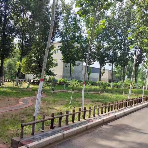 安阳县永和镇：加压人居环境整治 稳保夏收安全稳定