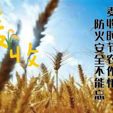 国网卫辉供电公司“盛夏”电助力，护航麦收季。