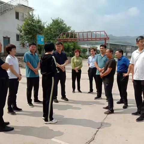 磁县政协视察全县防汛工作