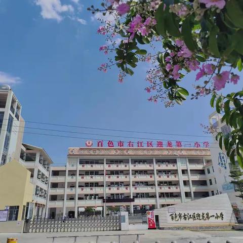 拾花酿夏意 不负好时光——百色市右江区迎龙第一小学2023年春季学期第二十周工作纪实