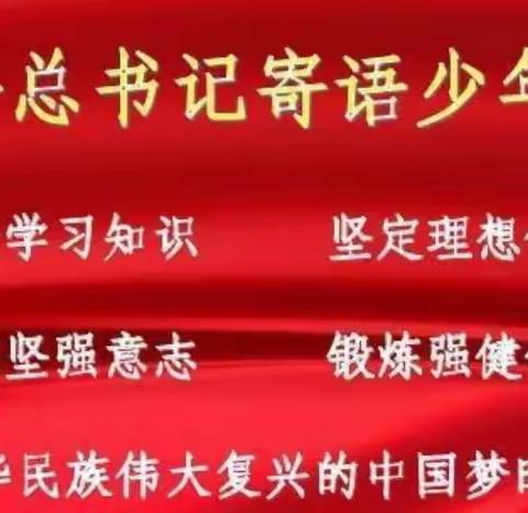 学习习爷爷寄语精神，争做新时代好少年——阿城小学少先队员学习习近平总书记寄语精神