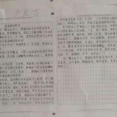 初一期中作文
