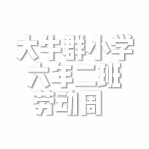 大牛群小学六年二班劳动实践周.