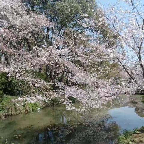 【韵律、平仄及其他】