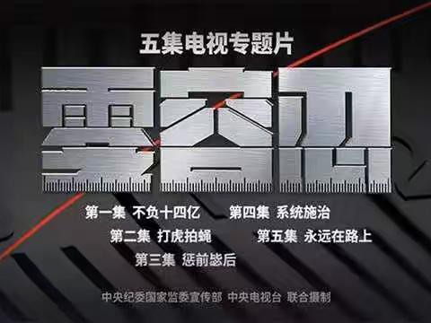 东安区分公司主题党日开展“零容忍”观看活动动态