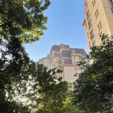 天庆莱茵小镇七月份工作简报