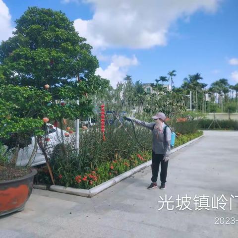 【2023年7月10日】广东碧浪害虫防治有限公司在陵水县光坡镇开展病媒生物防治工作